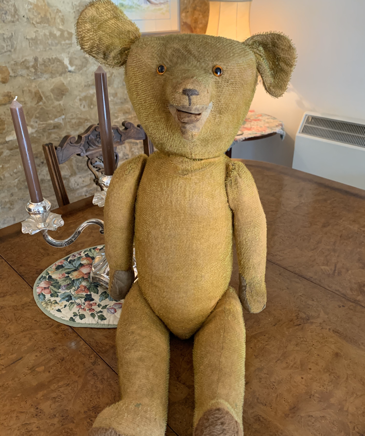 ted bear where to buy